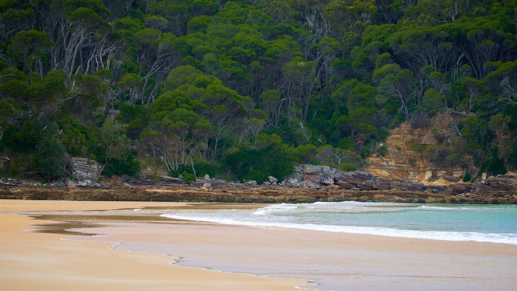 Aslings Beach which includes a sandy beach and general coastal views