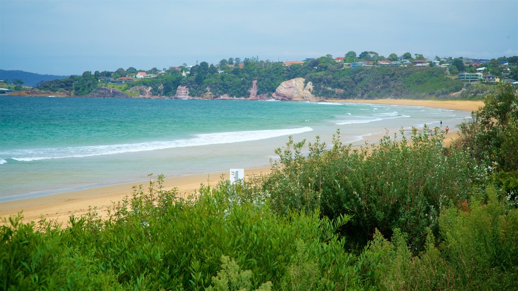 Aslings Beach showing a sandy beach and general coastal views