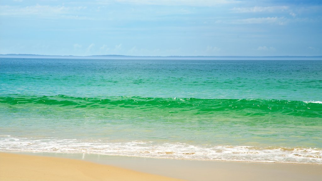 Collingwood Beach showing a beach and general coastal views