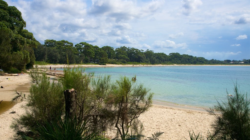 Playa Collingwood que incluye una playa de arena y vistas generales de la costa