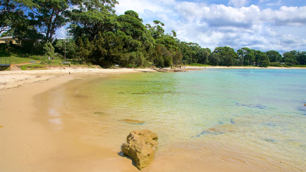 Collingwood Strand som viser en strand og udsigt over kystområde