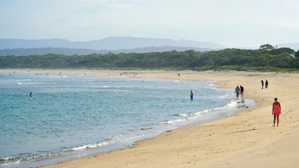 Main Beach Recreation Reserve que incluye vistas generales de la costa y una playa y también un pequeño grupo de personas