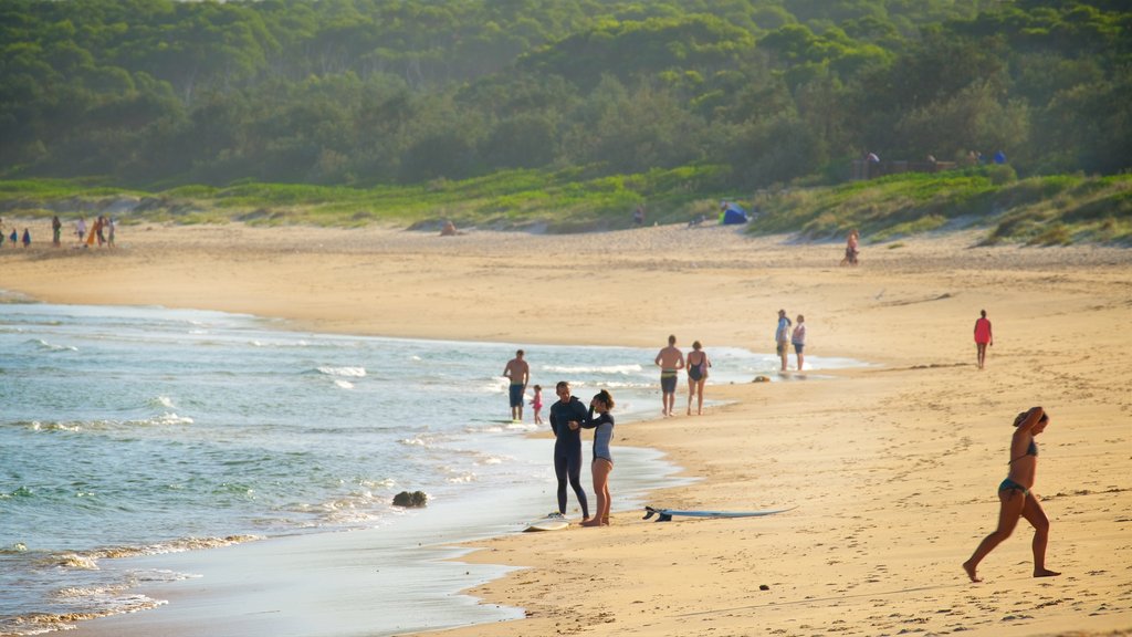 Main Beach Recreation Reserve mostrando paisagens litorâneas e uma praia de areia assim como um pequeno grupo de pessoas