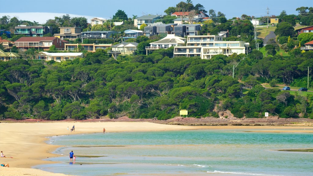 Main Beach Recreation Reserve ofreciendo una playa y vistas generales de la costa