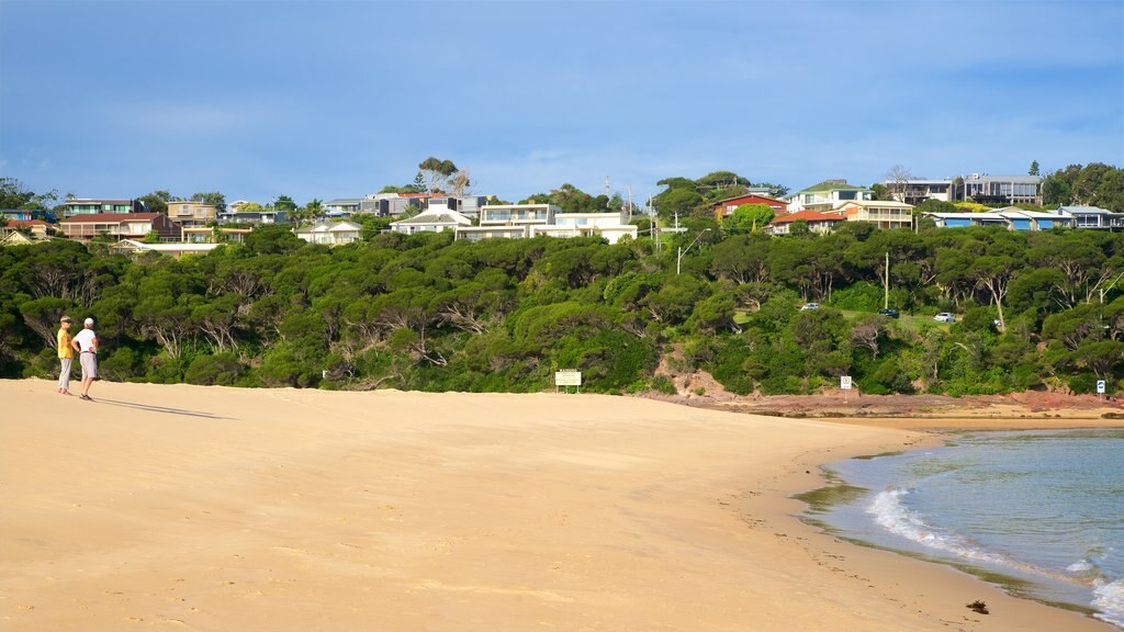 Main Beach Recreation Reserve que inclui paisagens litorâneas e uma praia de areia assim como um casal