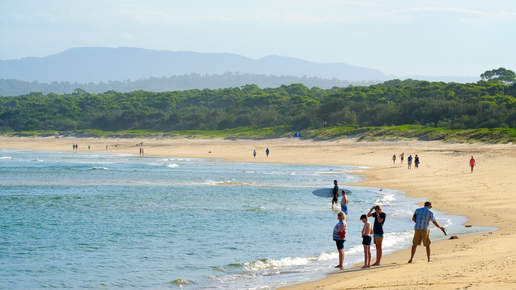 Main Beach Recreation Reserve ofreciendo una playa y vistas generales de la costa y también un pequeño grupo de personas