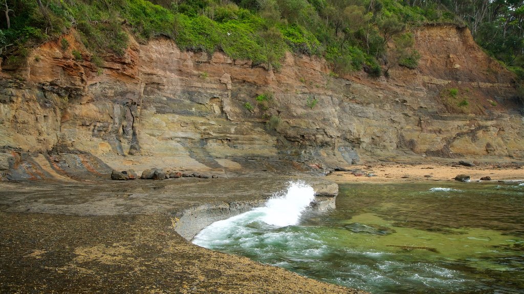 Pebbly Beach which includes a lake or waterhole