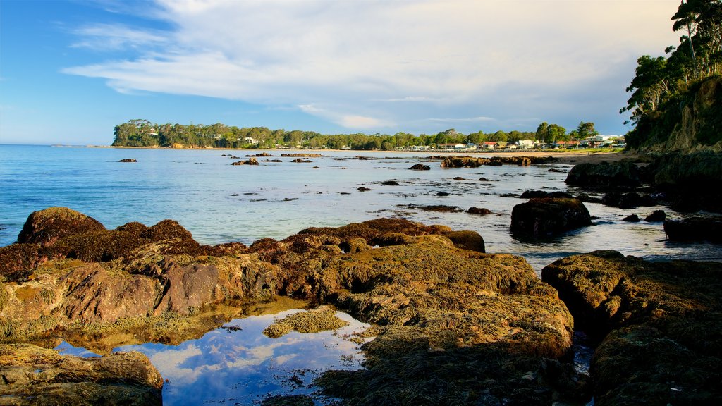 Caseys Beach which includes colorful reefs