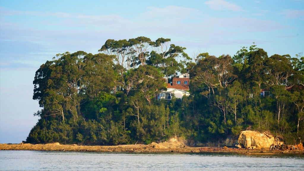 Caseys Beach which includes forest scenes and a beach