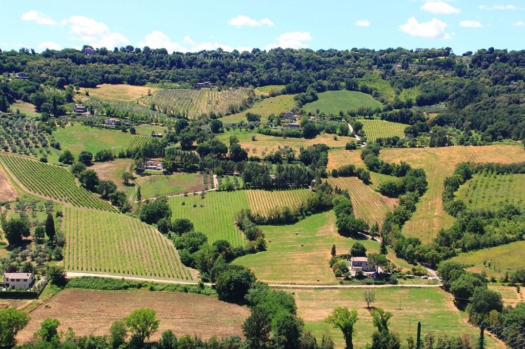 umbria_agriturismo_bio.jpg?1584096533