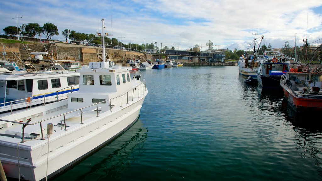 Wollongong ofreciendo una bahía o un puerto y un club náutico