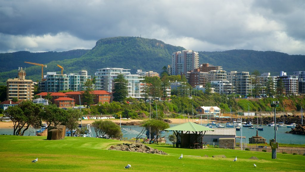 Wollongong que incluye una ciudad costera, una bahía o puerto y un parque