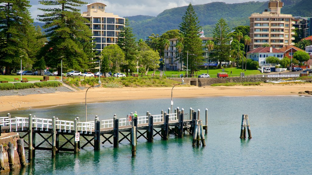 Wollongong which includes a bay or harbor, a coastal town and a beach