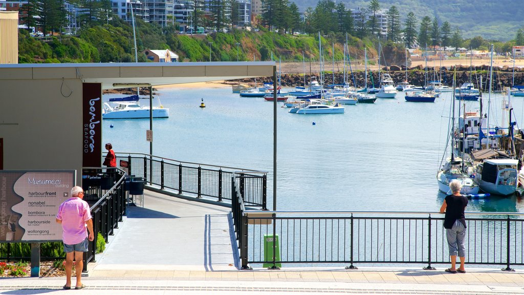 Wollongong montrant ville côtière, marina et signalisation