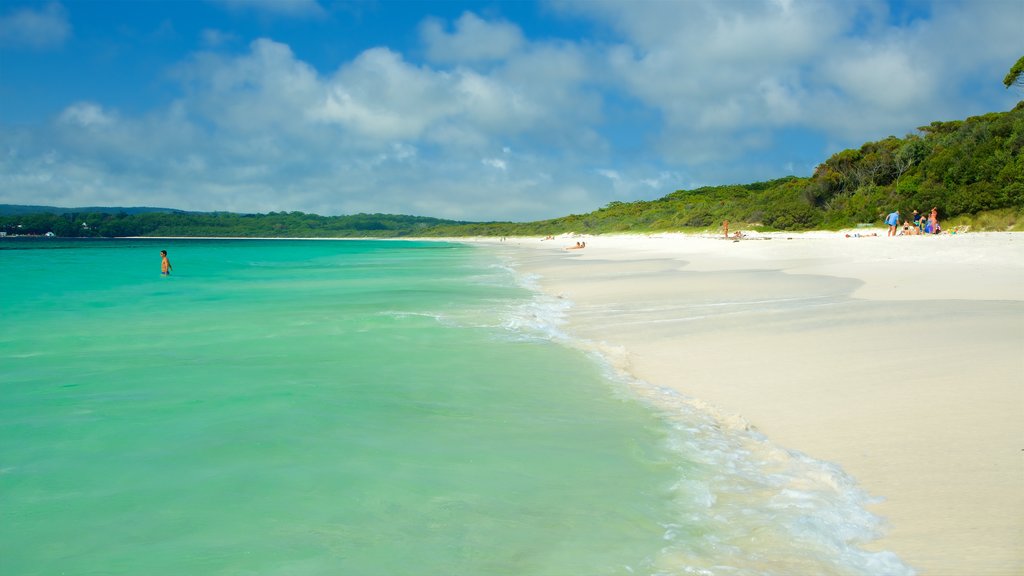 Huskisson showing a beach and general coastal views as well as a small group of people