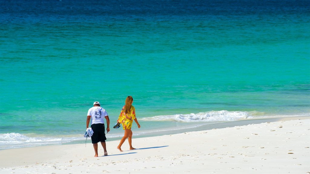 Huskisson que incluye vista general a la costa y una playa y también una pareja