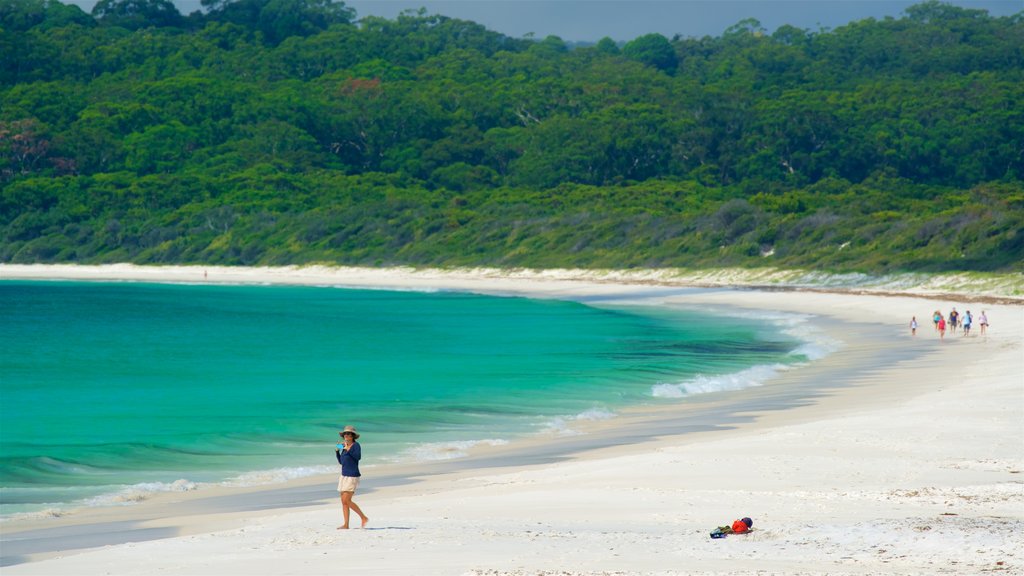 Huskisson mostrando vista general a la costa y una playa de arena y también una mujer