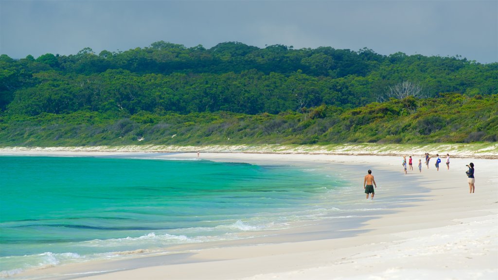 Huskisson mettant en vedette paysages côtiers et une plage de sable aussi bien que un petit groupe de personnes