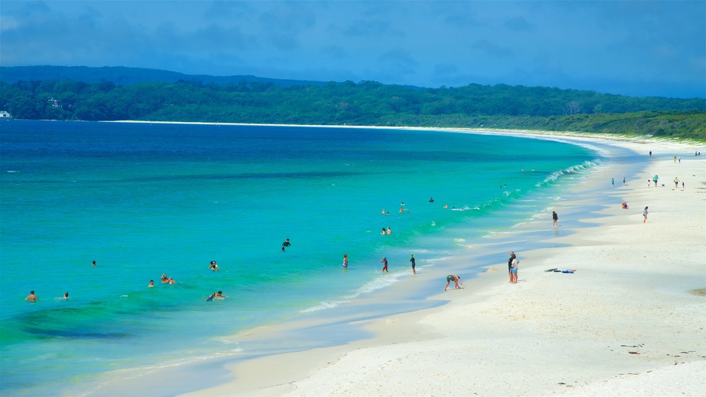 Huskisson que incluye vistas generales de la costa, una playa y natación