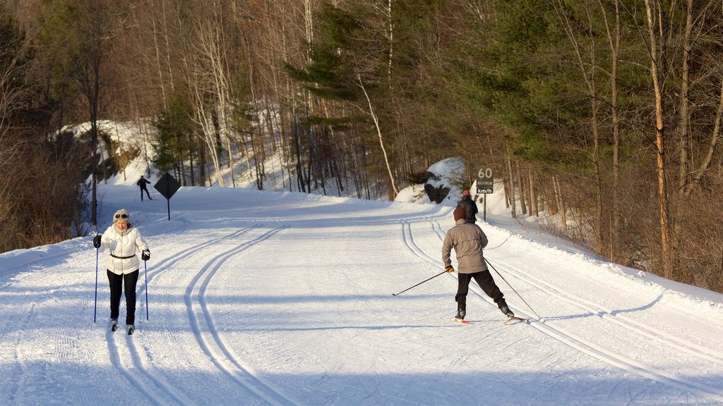 Gatineau Park featuring snow and snow skiing as well as a small group of people