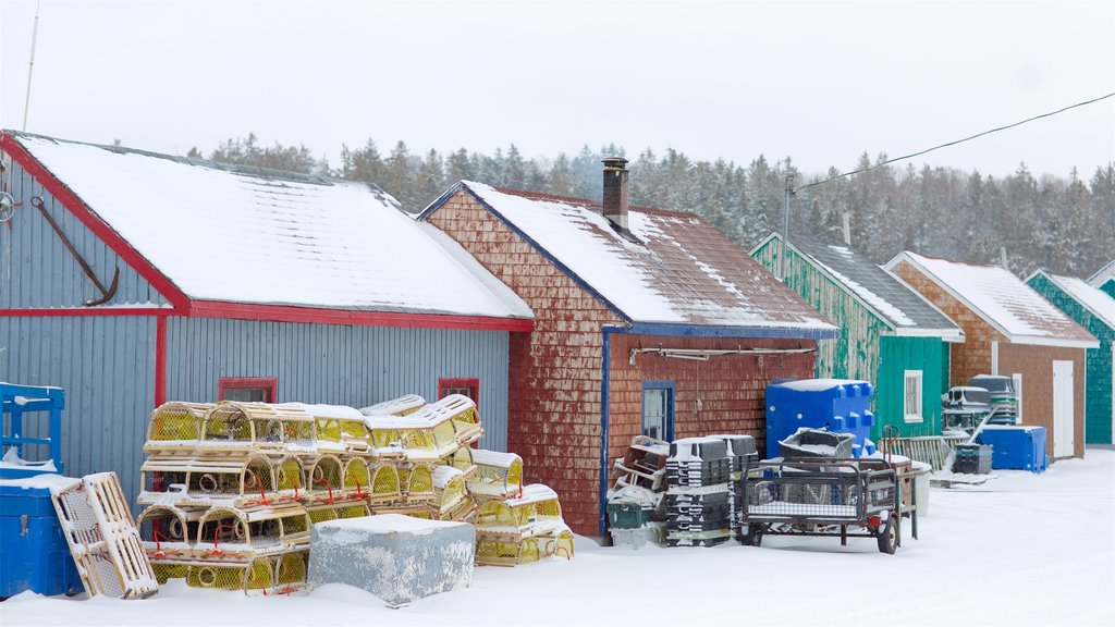 North Rustico que incluye nieve