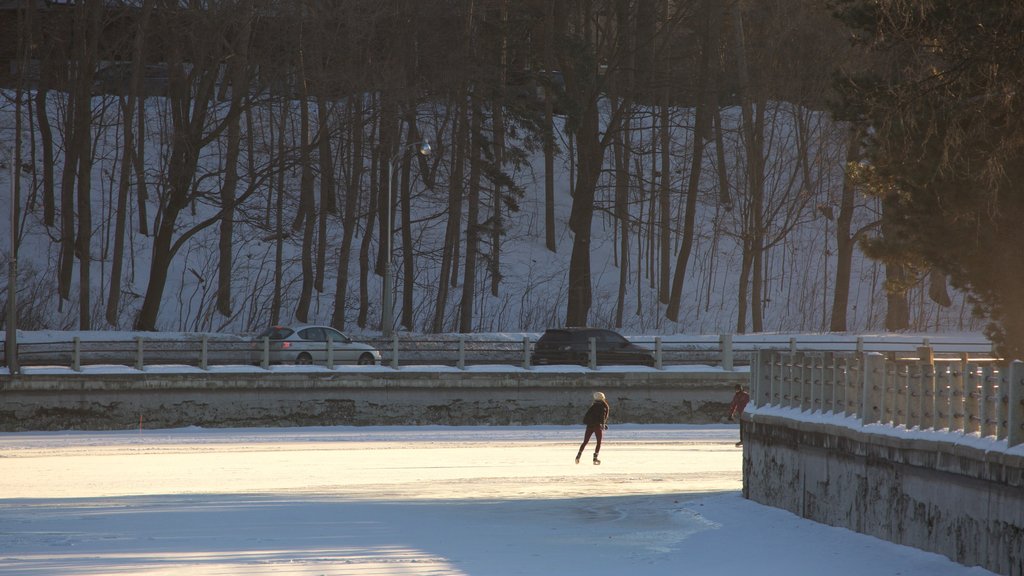 Rideau Canal caracterizando esqui na neve e neve assim como uma mulher sozinha