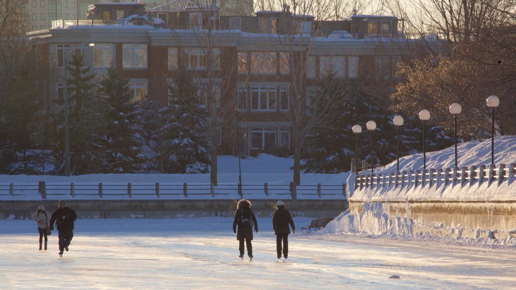 Rideau Canal que inclui esqui na neve e neve assim como um pequeno grupo de pessoas