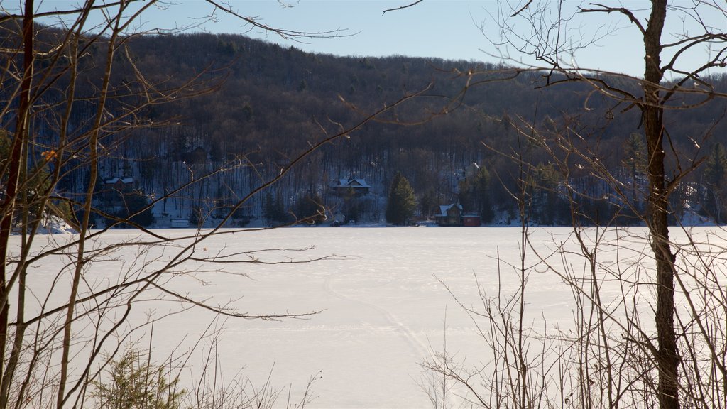 Parque de Gatineau mostrando nieve