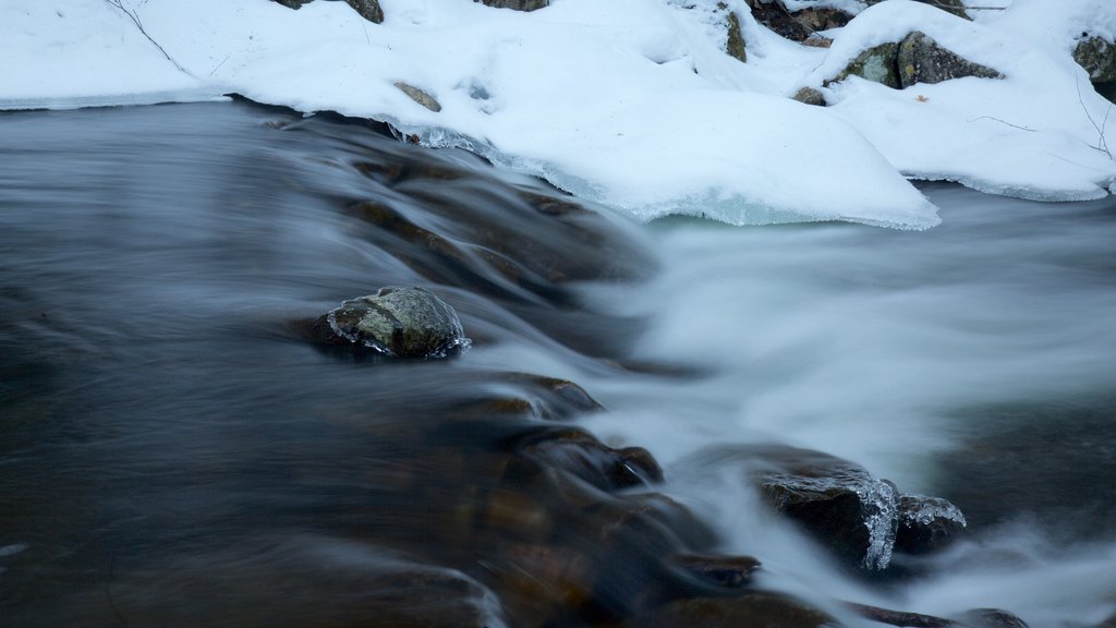 Gatineau Park which includes snow and a lake or waterhole