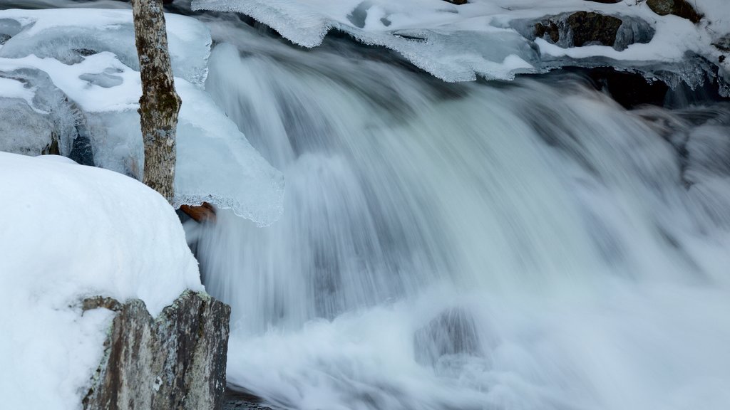 Gatineau Park showing a waterfall and snow