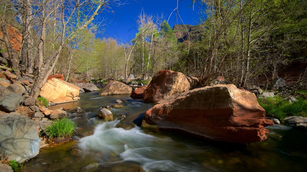 Oak Creek Canyon ofreciendo un río o arroyo y escenas forestales