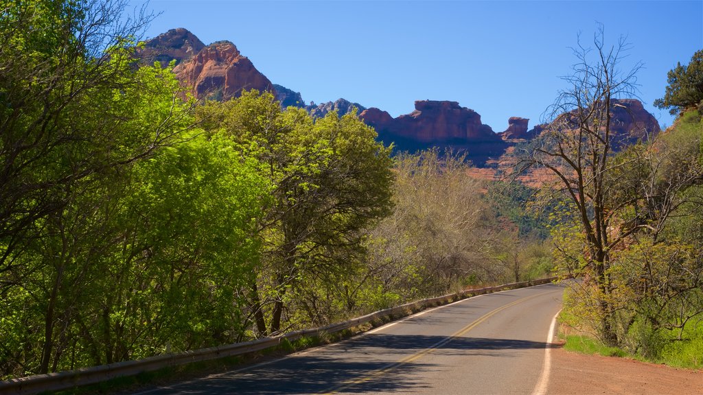 Oak Creek Canyon bevat een kloof of ravijn en vredige uitzichten