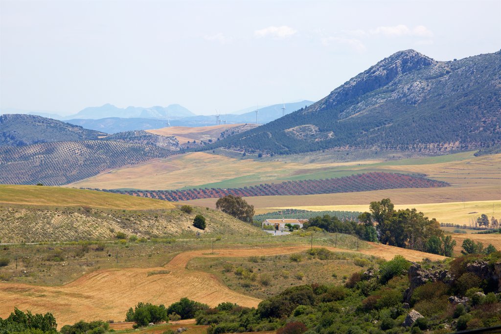 paisaje-andaluz-monta%C3%B1oso.jpg?1586244933