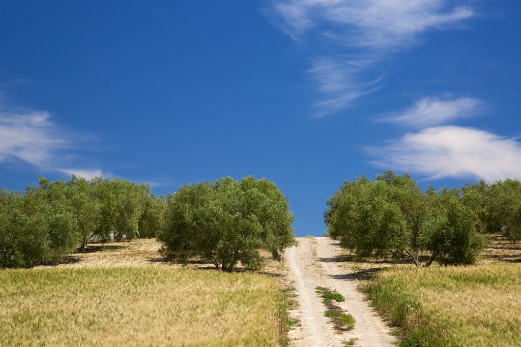 sendero-andaluc_C3_ADa.jpg?1586188009