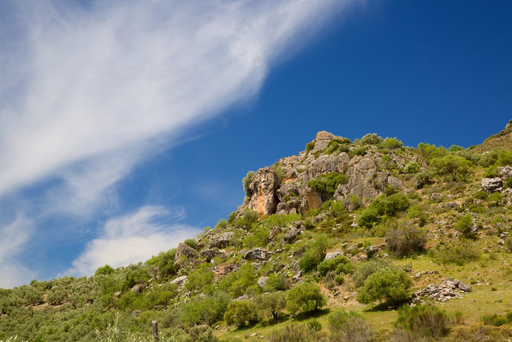 roca-en-el-campo-de-andalucia.jpg?1586250688