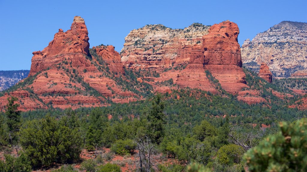 Sedona ofreciendo vista al desierto, escenas tranquilas y una garganta o cañón