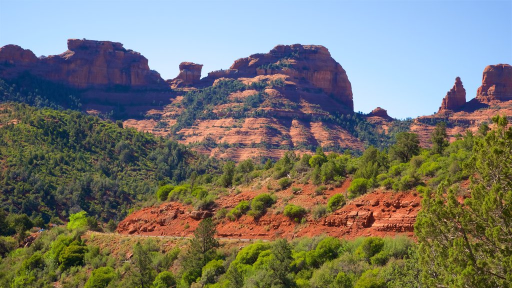 Oak Creek Canyon inclusief vredige uitzichten en een kloof of ravijn