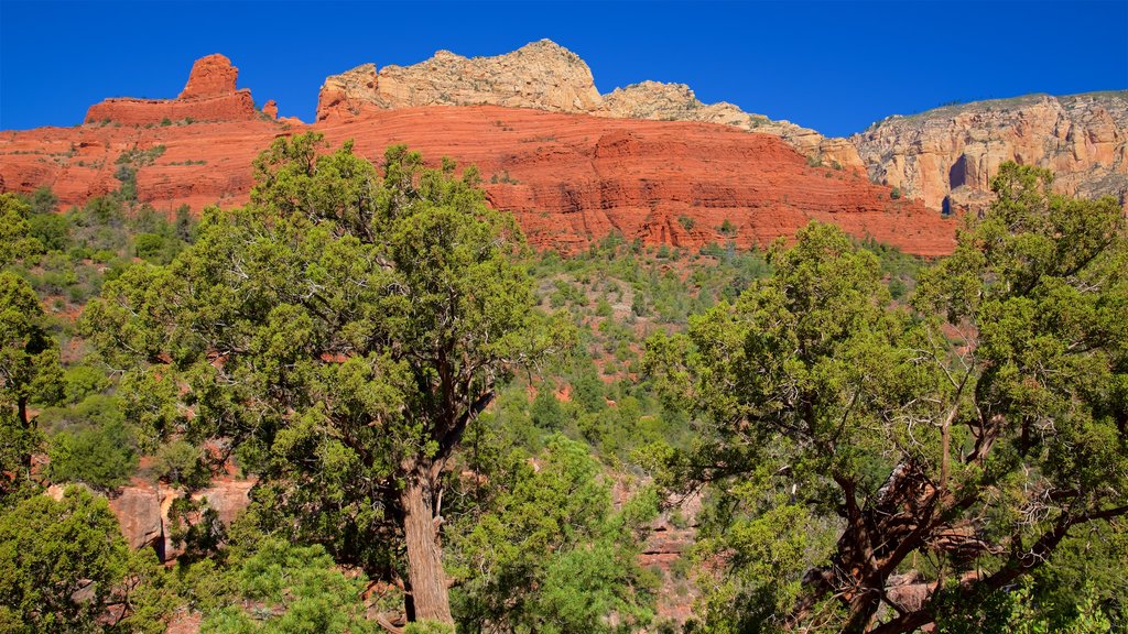 Oak Creek Canyon toont een kloof of ravijn en vredige uitzichten