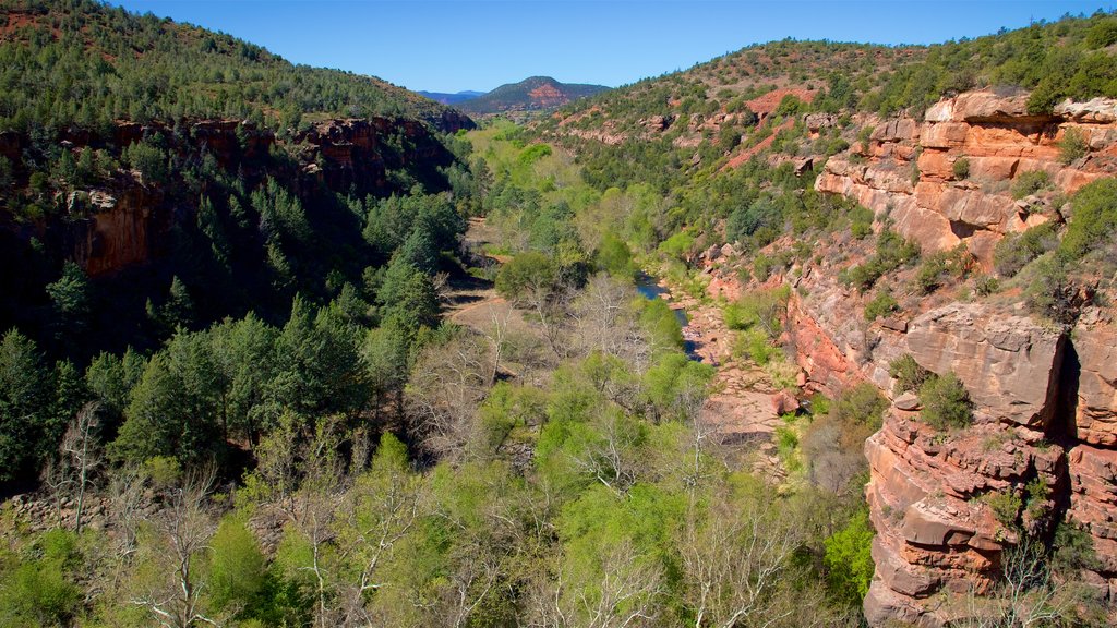 Oak Creek Canyon inclusief een rivier of beek, een kloof of ravijn en vredige uitzichten