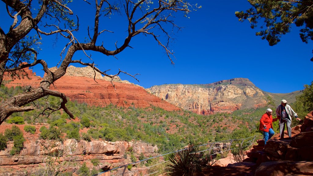 Oak Creek Canyon showing tranquil scenes and a gorge or canyon as well as a couple