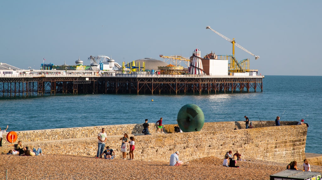 can you take dogs to brighton beach