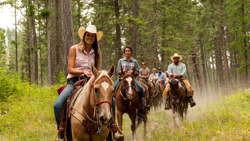 Bigfork showing tranquil scenes and horse riding as well as a small group of people