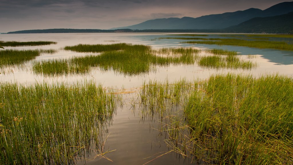 Bigfork showing mountains, a sunset and a lake or waterhole