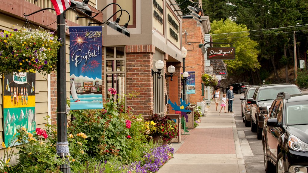 Bigfork featuring street scenes and signage