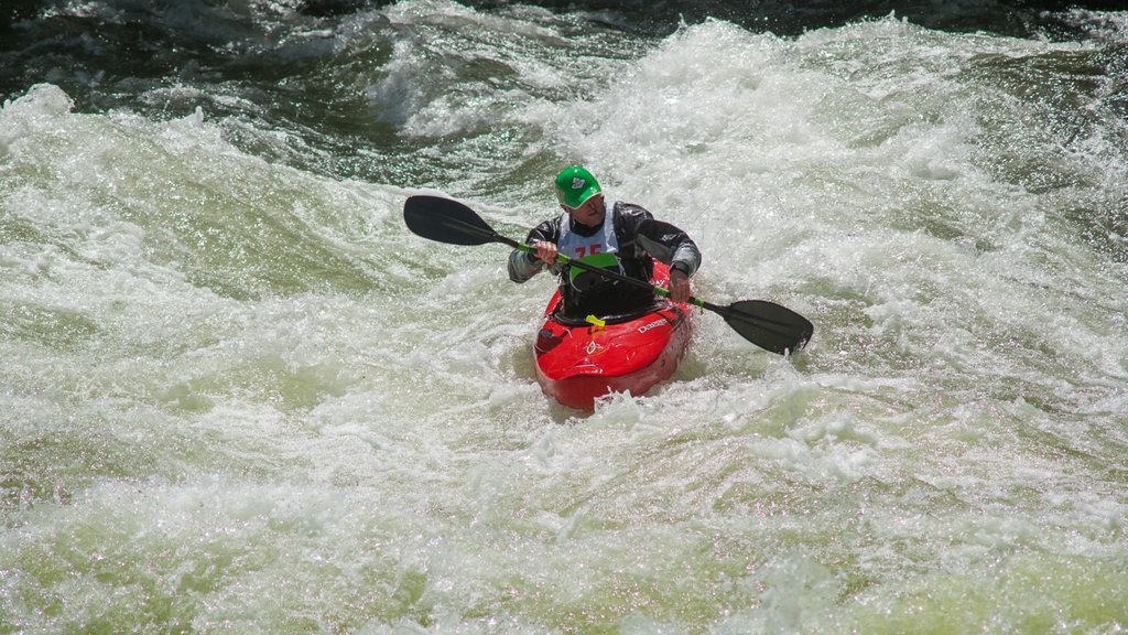 Bigfork mostrando un río o arroyo y kayak o canoa y también un hombre