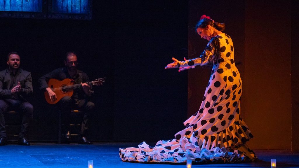 festival-flamenco-madrid.jpg?1586946420