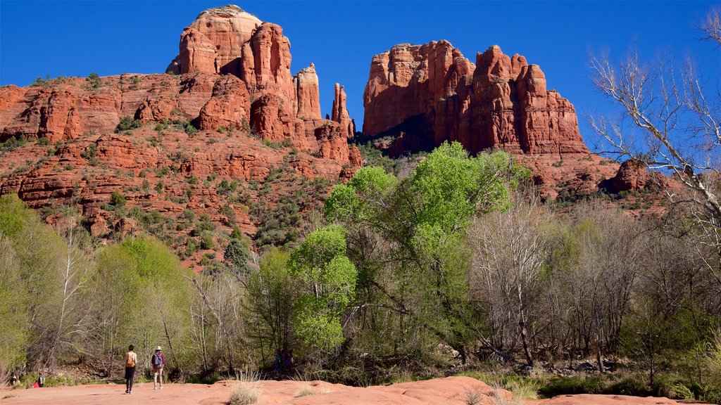 Cathedral Rock som viser bjerge og fredfyldte omgivelser