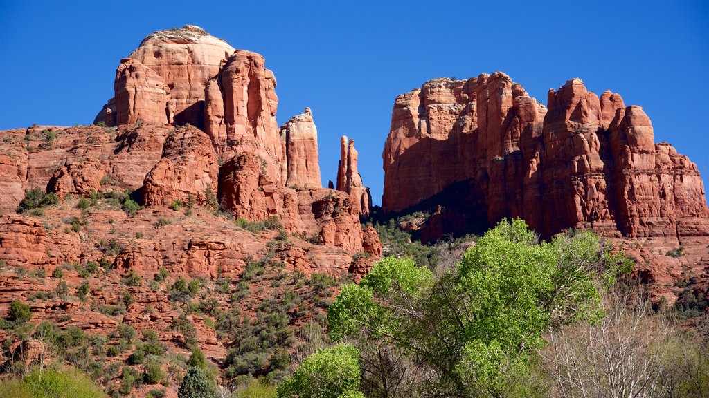 Cathedral Rock showing tranquil scenes and mountains