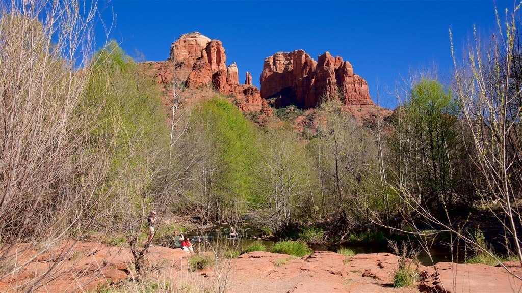 Cathedral Rock showing tranquil scenes