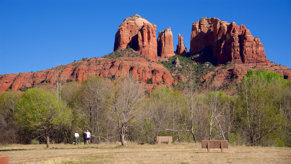 Cathedral Rock which includes tranquil scenes and mountains